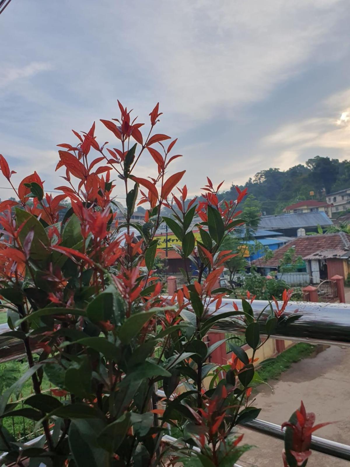 Varam Homestay Madikeri Ngoại thất bức ảnh